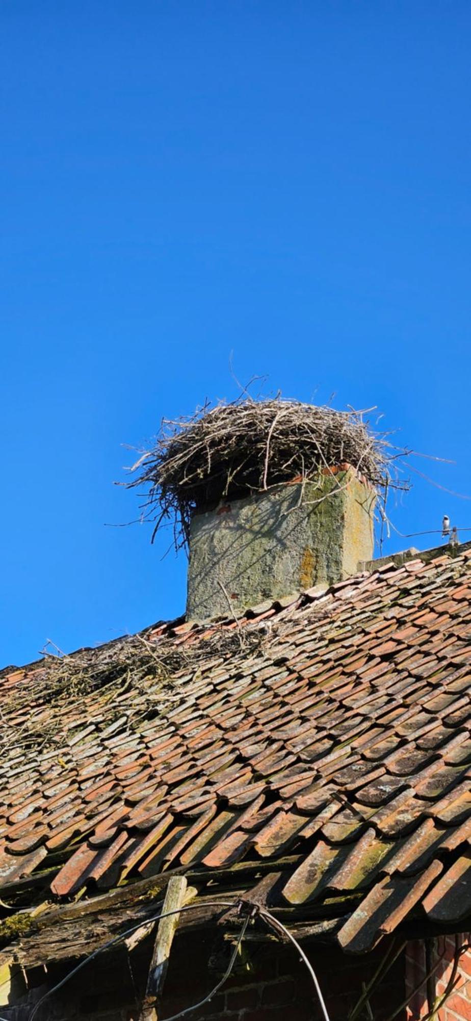Villa Oliwkowe Jerzykowo -Klimatyzacja Radzieje Exterior foto